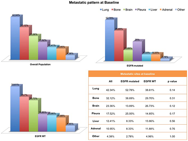 Metastatic pattern at baseline according to the EGFR mutational status.