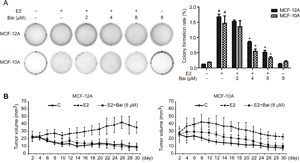 The effects of baicalein on E2-induced tumorigenesis in vitro and in vivo.