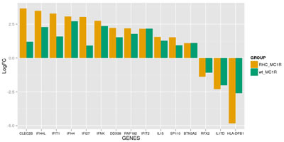 Set of immunomodulation and interferon response deregulated in mutant CDKN2A co-cultures.