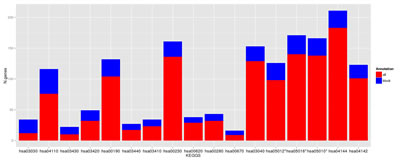 Deregulated pathways in RHC MC1R melanocyte-keratinocyte co-culture system.