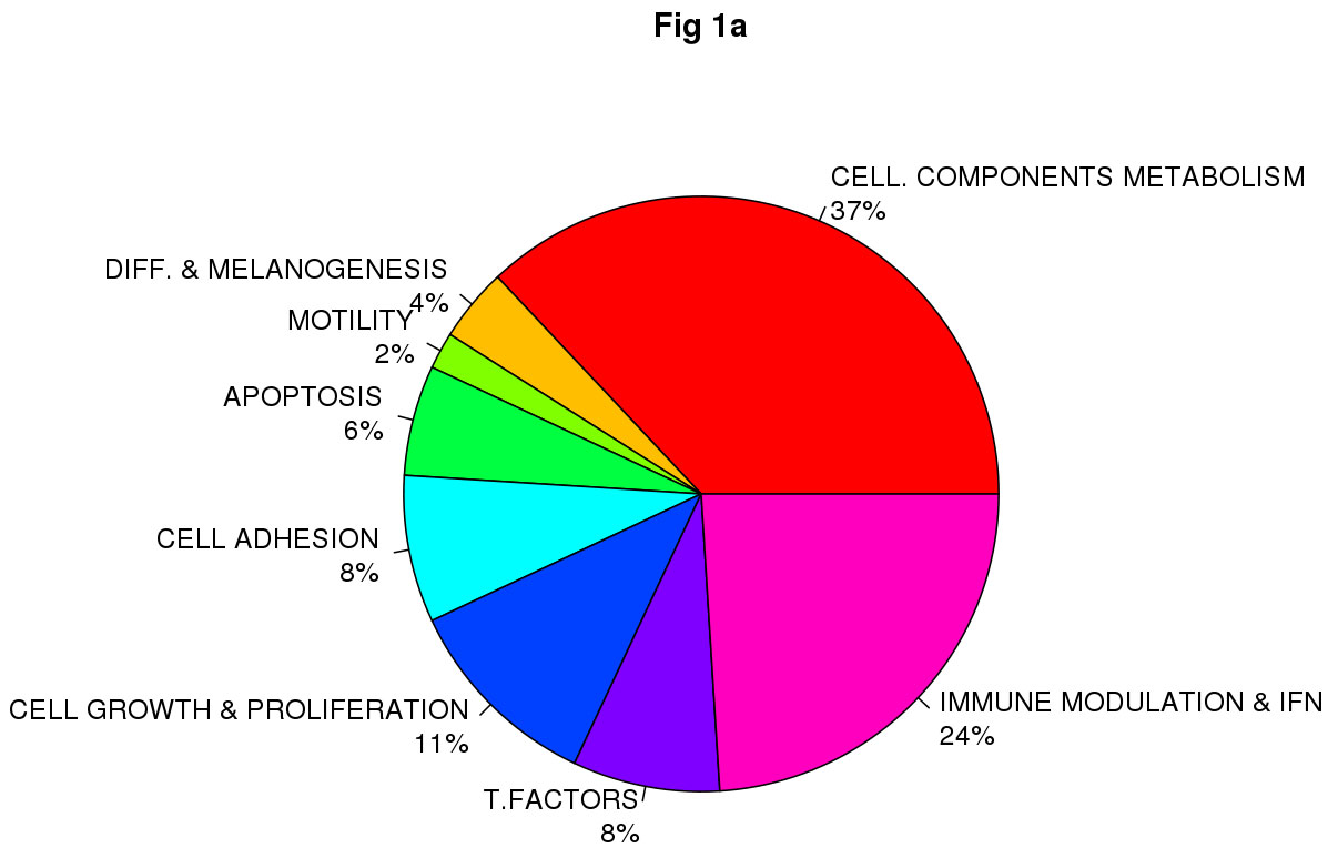 Impact of germinal CDKN2A mutation on global transcript profile in melanocyte-keratinocyte co-culture system.