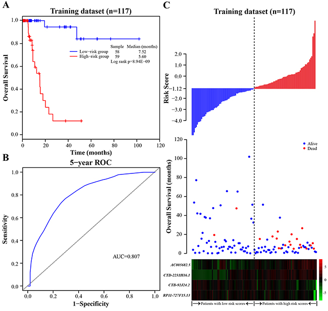 The four-lncRNA signature in prognosis of overall survival of BLCA patients in the training dataset.