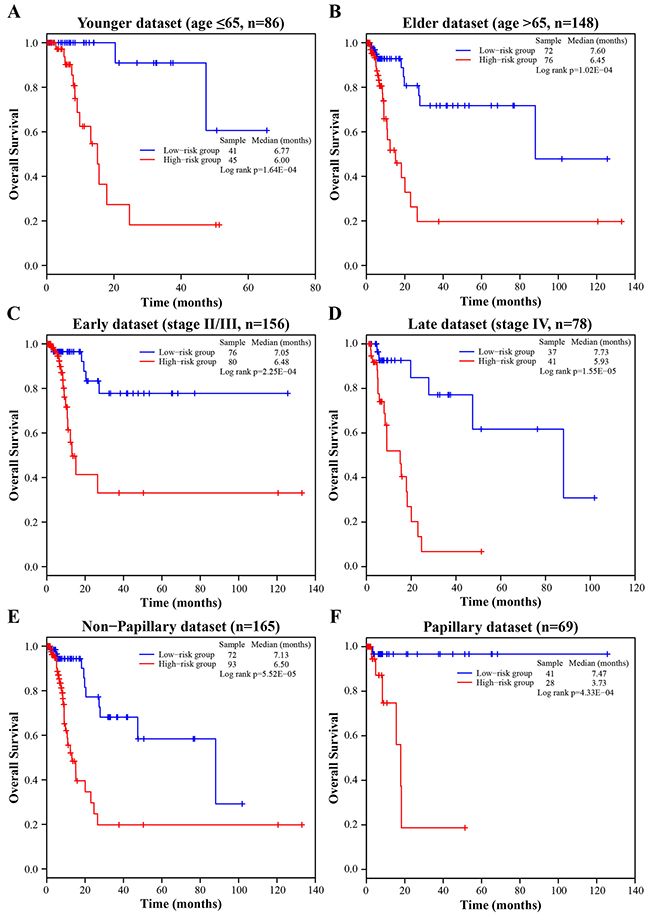 Figure 3. Survival analyses of all BLCA patients stratified by age, stage, tumor subtype with the four-lncRNA signature.