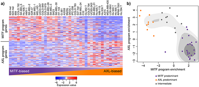 MITF- and AXL-associated expression programs are recapitulated in melanoma cell lines.