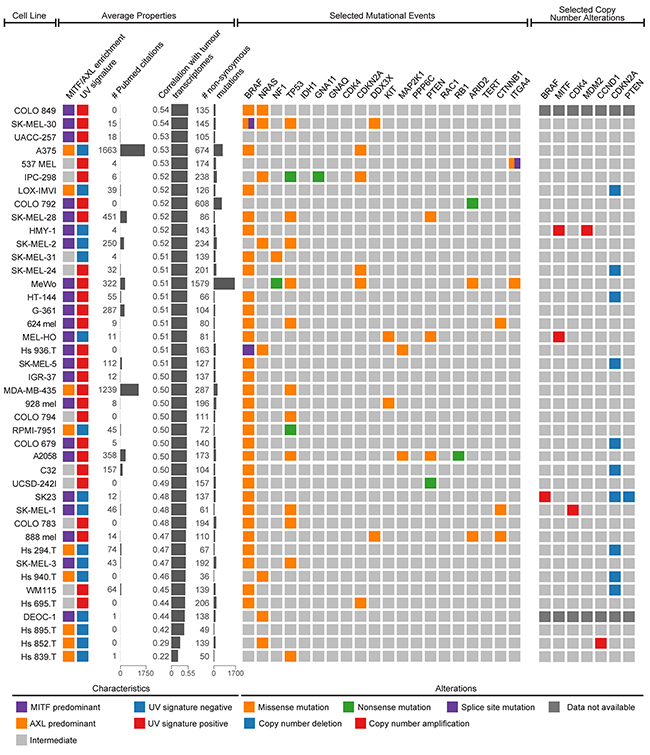 Genomic summary of melanoma cell lines.