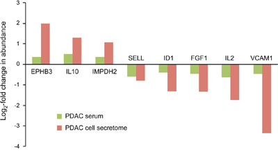 Proteins that were similarly regulated in both tumor cell secretome and PDAC patient sera.