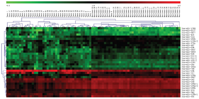 Hierarchical clustering of cancer and non-cancer by 33-miRNA signature.