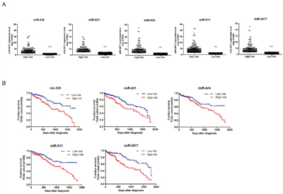 Five miRNAs were associated with overall survival of HCC patients.