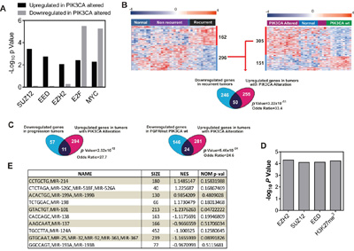 PIK3CA alterations oppose to EZH2 in NMIBC.