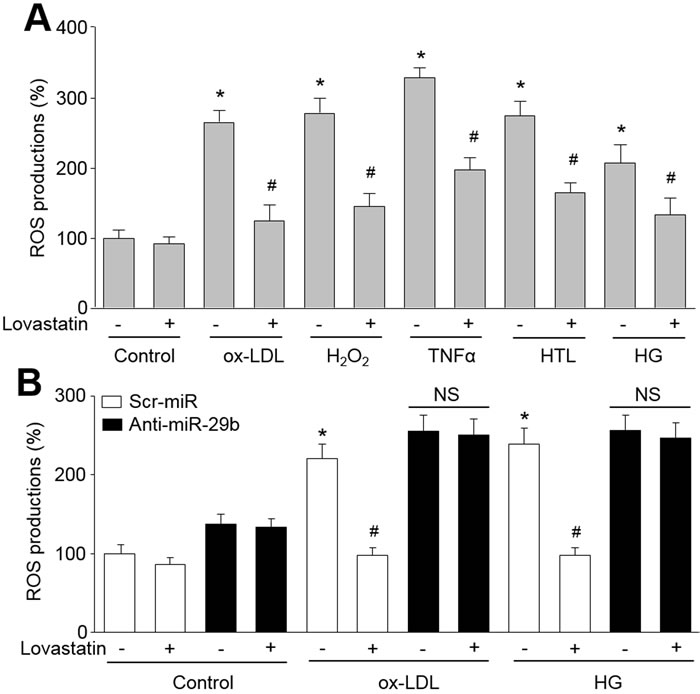 Lovastatin via upregulation of miR-29b suppresses oxidative stress in endothelial cells treated with oxidized low density lipoprotein (ox-LDL), hydrogen peroxide (H2O2), tumor necrosis factor alpha (TNF&#x3b1;), homocysteine thiolactone (HTL) or high glucose (HG).