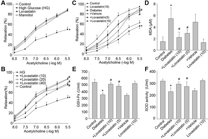 Lovastatin reduces oxidative stress and improves endothelial dysfunction induced by high glucose both