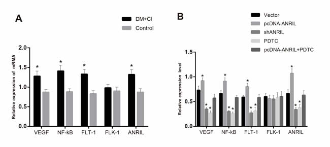 Figure 4: