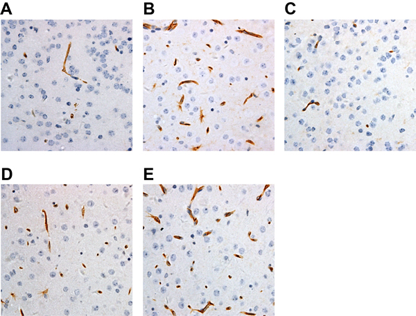 Figure 5: