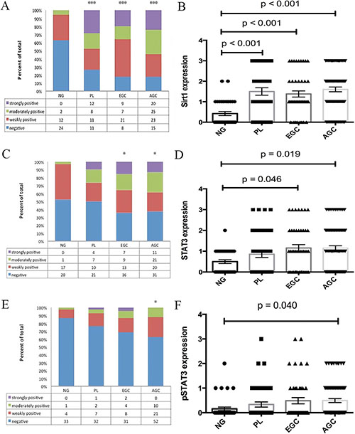 Differential expression levels of SIRT1.