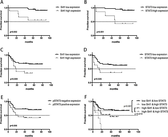 Overall survival curves demonstrating the relationship between survival prognosis of gastric cancer patients and gene expression of SIRT1 and STAT3.