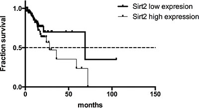 Overall survival curves for gastric cancer patients from the TCGA dataset with high or low SIRT2 expression.