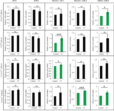 1 T SMF has minimal effects on multiple human non-cancer cell lines.