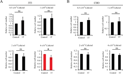 1 T SMF reduces NIH-3T3 cell number but has minimal effects on CHO cells.