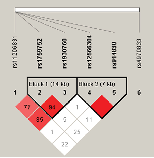 Haplotype block map for all the SNPs of the PPAP2B gene.