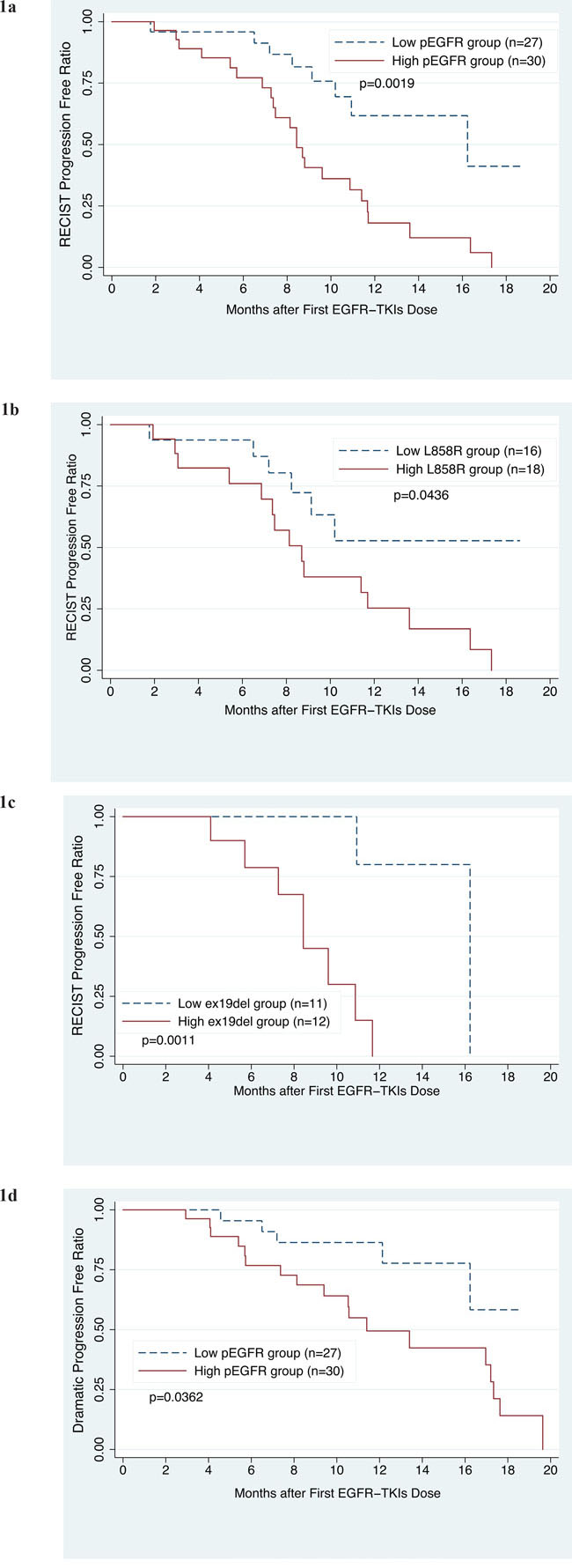 Progression-free survival curves for the 57 patients treated with EGFR-TKIs.