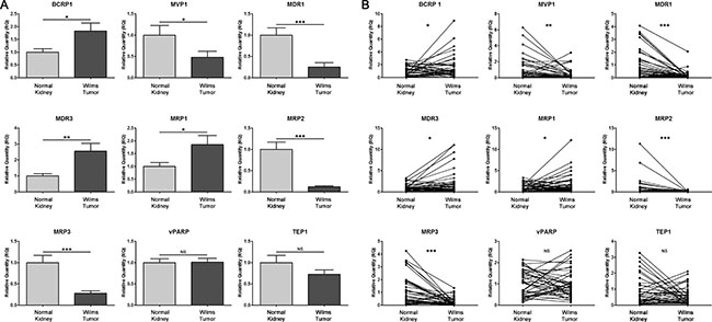 Profiling of the transcript expression of multidrug resistance genes from frozen tissue samples (normal kidney and WT tissues) reveals changes of multidrug resistant gene expression in WT samples.