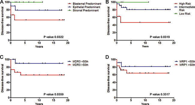 Overexpression of MDR3 gene is associated with reduced disease-free survival of WT patients.