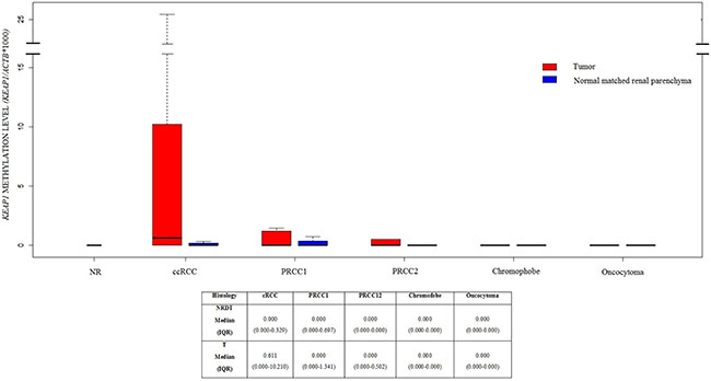 Boxplots of KEAP1 promoter methylation levels in Normal Renal tissues (NR), and different renal tumor histologies included into this study, paired with normal renal parenchyma distant from tumor.