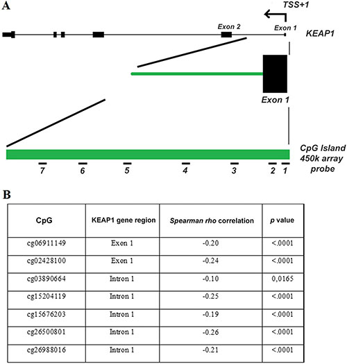 The 450 K methylation array data from the TCGA demonstrates that methylation of the KEAP1 promoter region is a hallmark in ccRCC.