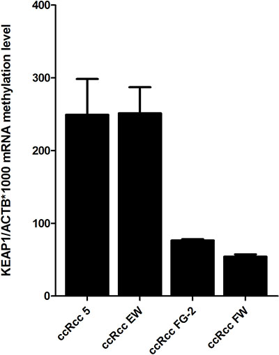 KEAP1 promoter methylation levels in four ccRCC cell lines (5, EW, FG-2, FW) detected by using quantitative methylation real-time PCR.