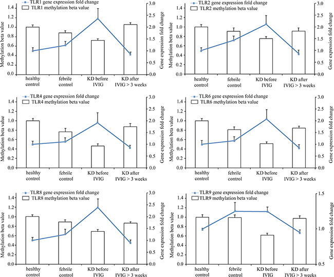 Integration of CpG marker methylation pattern and gene expression profile.