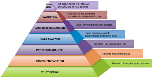 Workflow in Workflow in PCa proteomics.