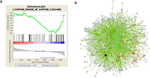 GSEA and network analyses reveal NFkB as a potential regulator of disorganization genes.