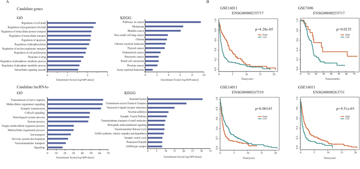 The prioritization results in the case study of GBM.