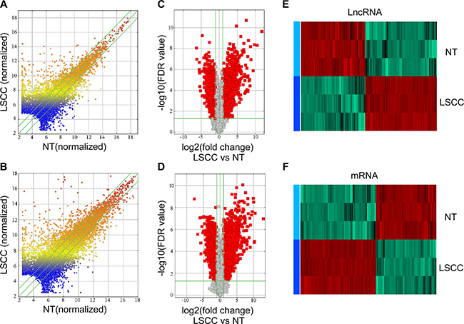 Expression profiles of lncRNAs and mRNAs in LSCCs compared with NT samples.