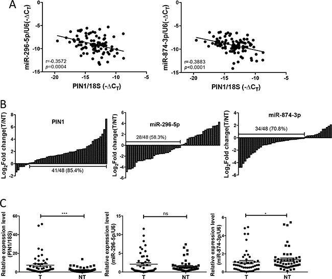 The expression of miR-874-3p was down-regulated in primary HCC tissues and correlated negatively with PIN1.