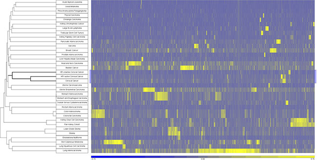 Cancers clustered by somatic mutation profiles.