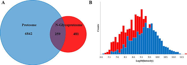 Global proteome versus the N-glycoproteome.