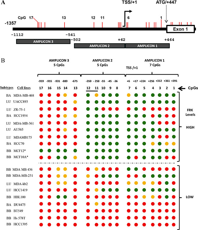 The expression of FRK in breast cancer cells correlates with site-specific promoter methylation.