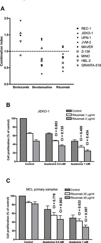 Acadesine shows a synergistic effect with rituximab