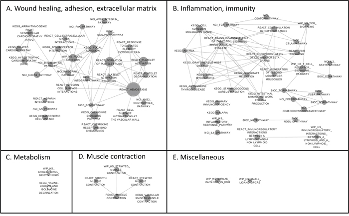 Enrichment map of the Gene Set Enrichment Analysis (GSEA) reflecting the gene sets that are enriched after the intervention with selenium.