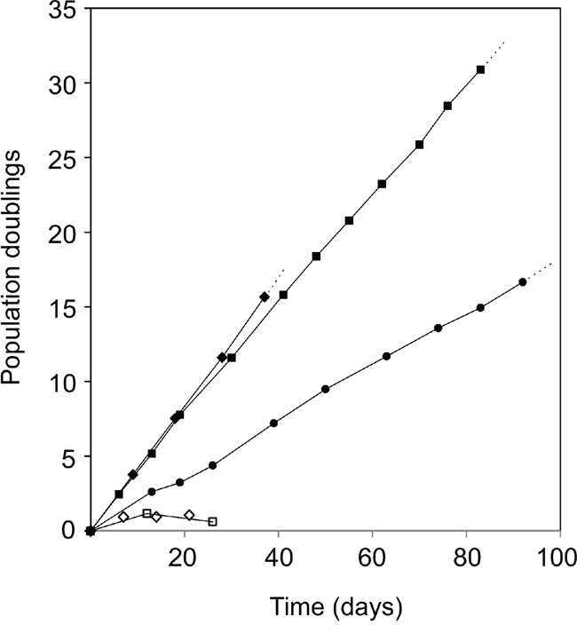 Infinite lifespan of hTERT/shp16 transduced iHBECERpos cells.