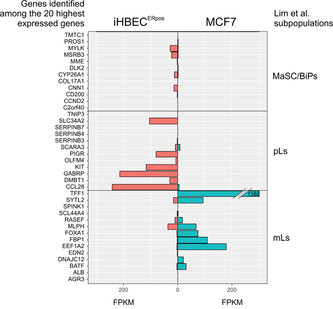 iHBECERpos cells exhibit an expression profile reminiscent of luminal progenitors.