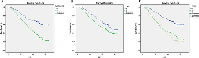 Survival curves of NSCLC patients by the Kaplan&#x2013;Meier method and the log-rank test.