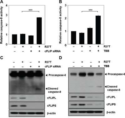 Inhibition of cFLIP expression enhances caspase activity in R27T-resistant cells.