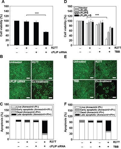 Inhibition of cFLIP expression enhances R27T-induced anti-proliferation and apoptosis in R27T-resistant cells.