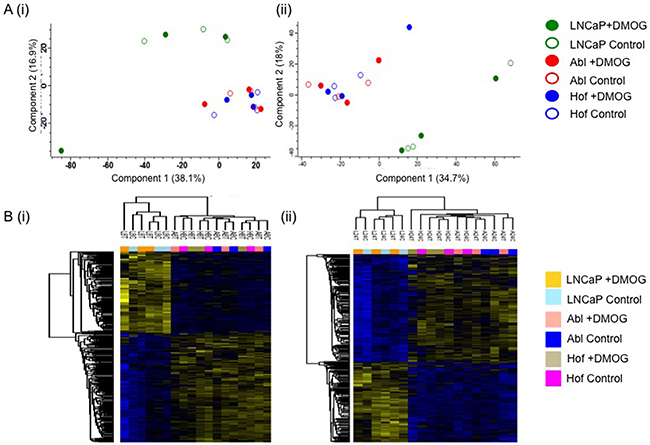 Proteomic Characterisation of Androgen Sensitive and Androgen Independent PCa cell lines.