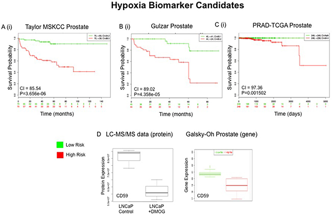 External Validation of Hypoxia (Hx) Protein Panel.