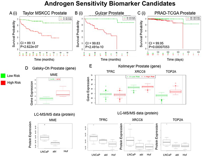 External Validation of Androgen Sensitivity (AS) Protein Panel.