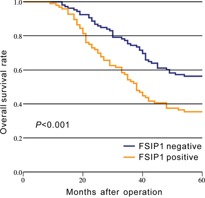 Kaplan-Meier analysis of overall survival based on FSIP1 status in 202 NSCLC patients.