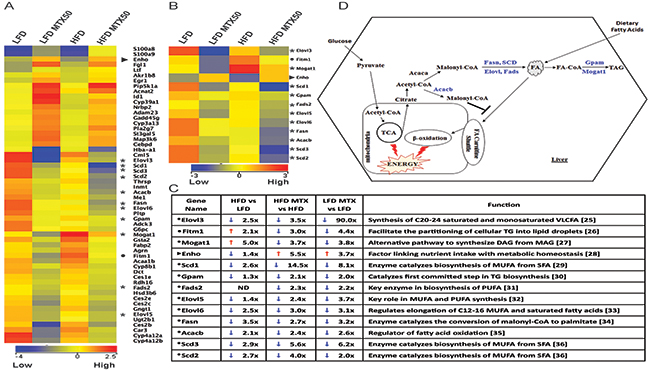 Gene expression analysis of total liver from LFD and HFD diet with and without MTX50 treatment.